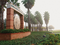 南佛罗里达大学