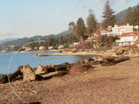 西温哥华公立学校